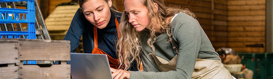 Online Banking Firmenkunden Volksbank Mittleres Erzgebirge Eg